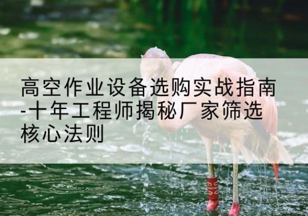 山阳剪叉式升降机厂家-高空作业设备选购实战指南-十年工程师揭秘厂家筛选核心法则