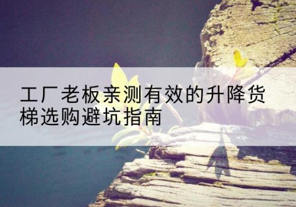 山阳升降货梯怎么选-工厂老板亲测有效的升降货梯选购避坑指南
